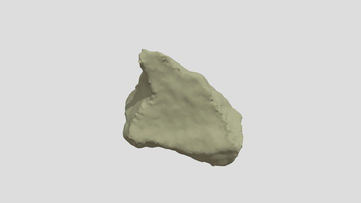 Rhyolite 3D Model