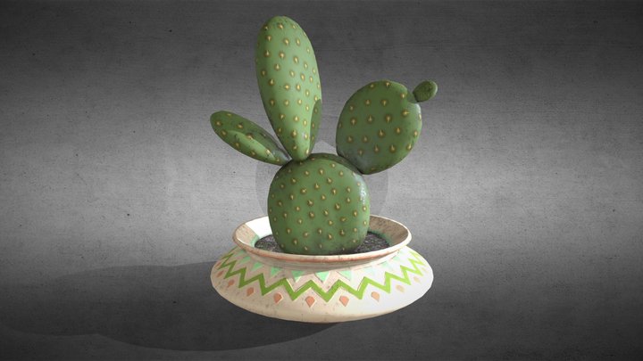 Stylize Cactus 3D Model