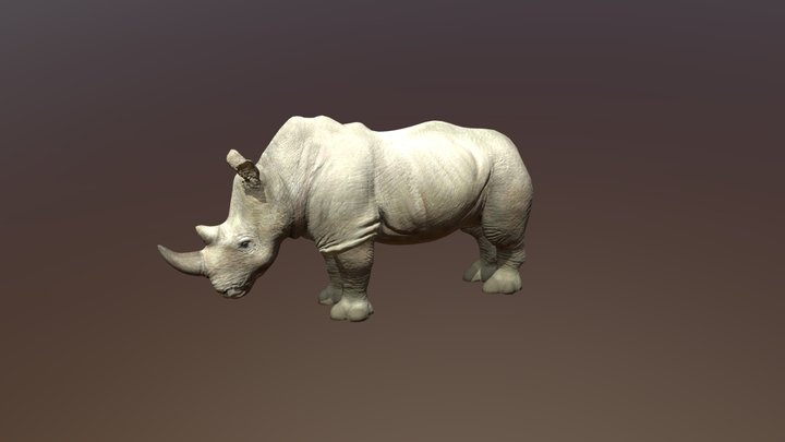 Kirarito Rhino 3D Model