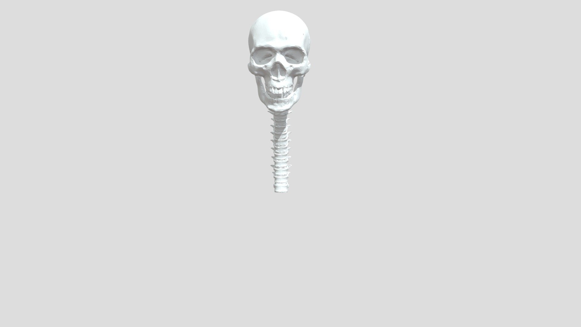 X-Ray Skeleton