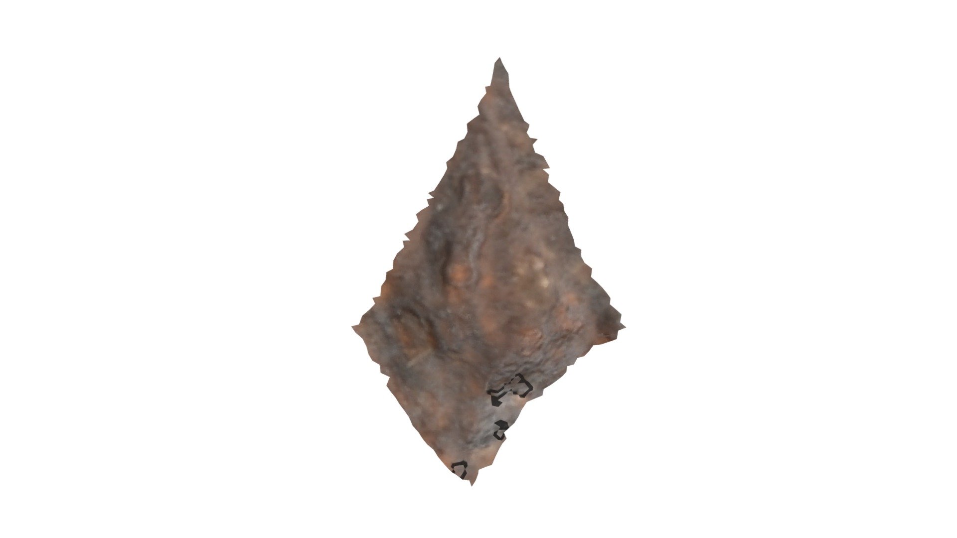 D4 - aurochs MNIR