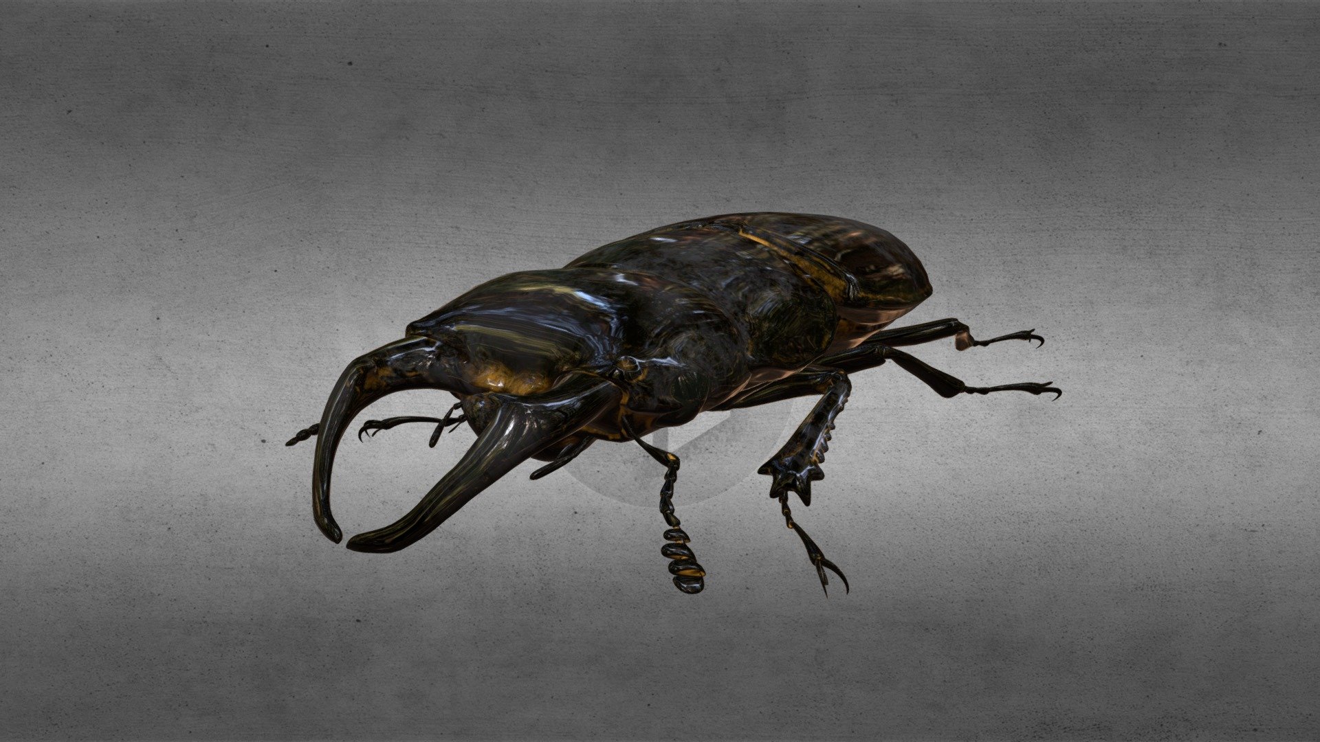 Stag Beetle - Download Free 3D model by LingthyManThatExists