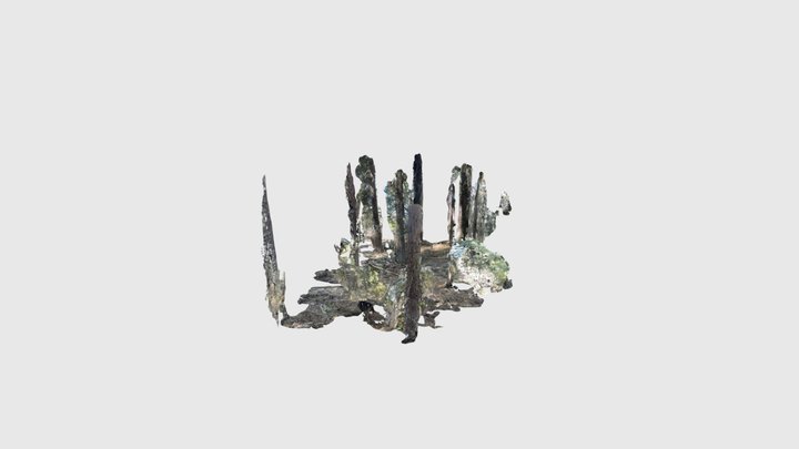 Lucian treehouse site 19 3D Model