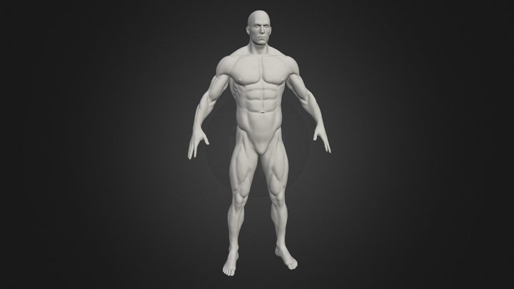 Tpose 3D models - Sketchfab