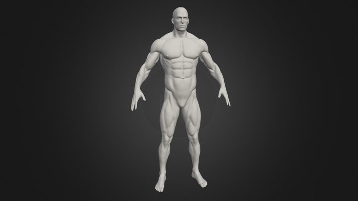 T-pose 3D models - Sketchfab