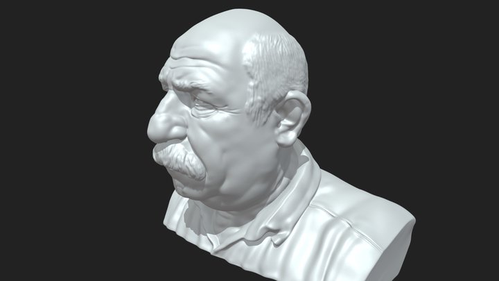 Bald with moustache older man face