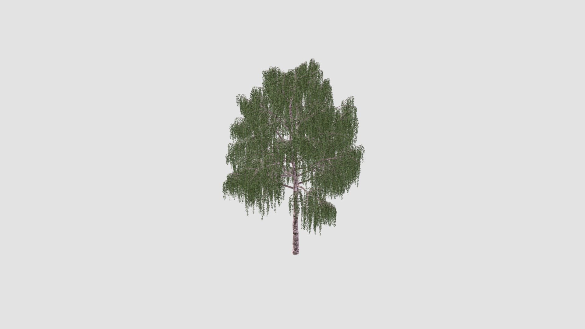 tree - Buy Royalty Free 3D model by Evermotion [bf87578] - Sketchfab Store