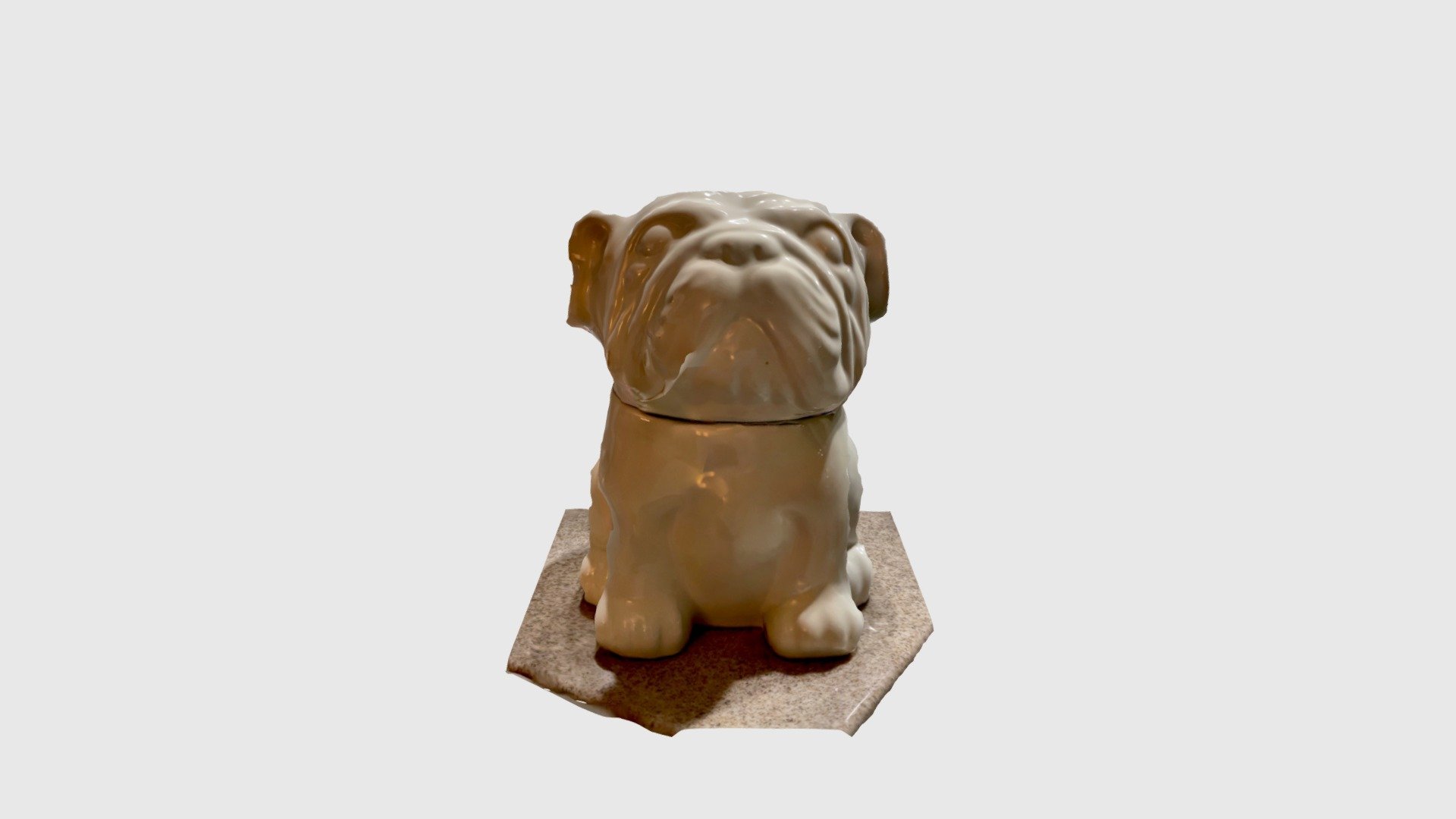 English Bulldog