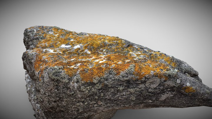 Orange Moss Boulder Photoscan – Modèle 3D gratuit STL