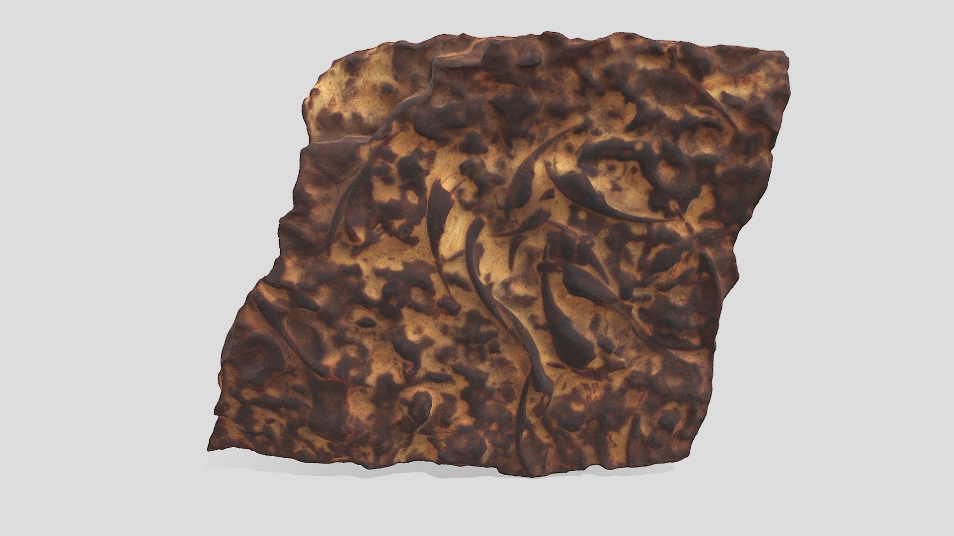 Saukia sp. fragments
