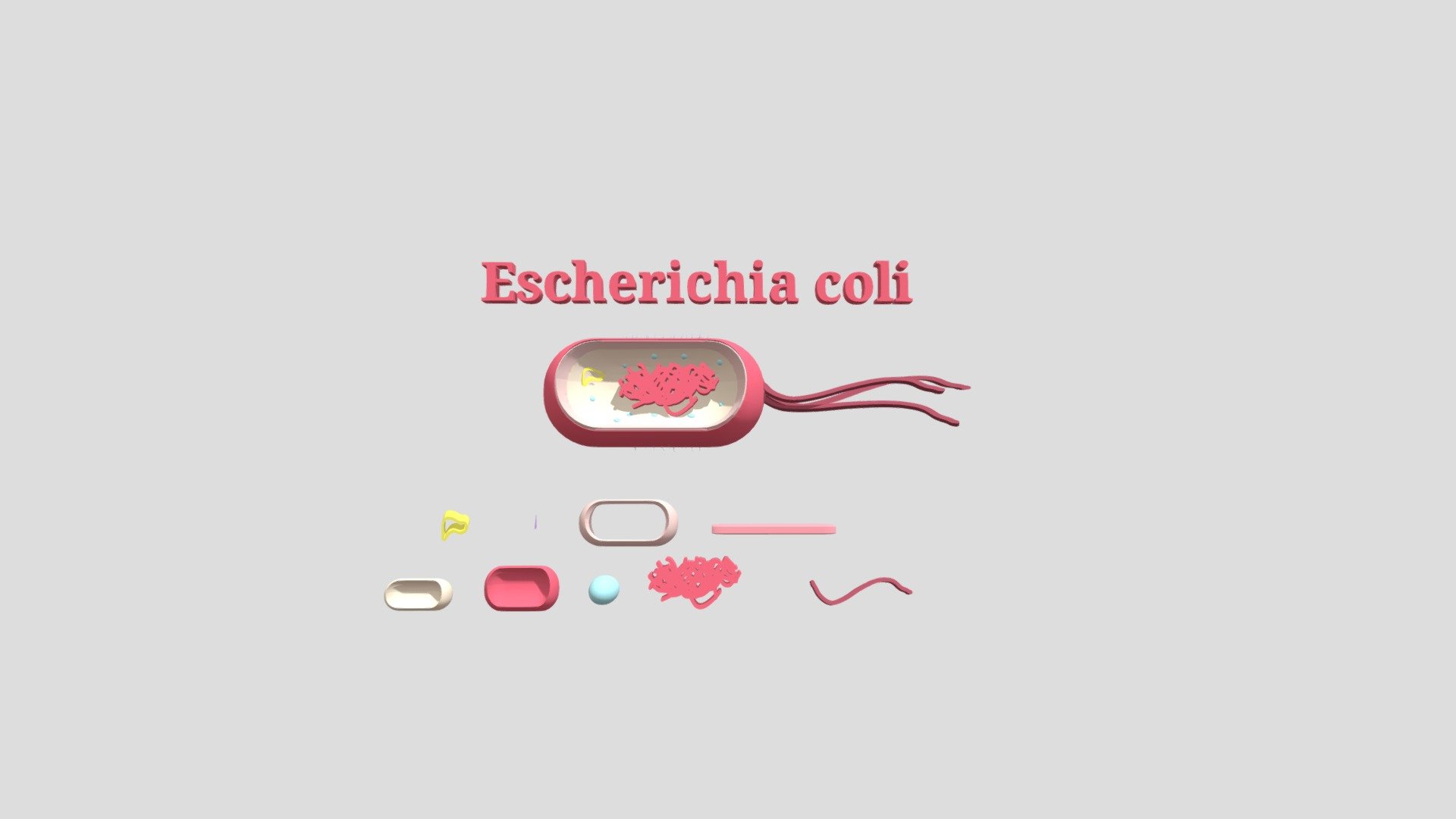 MICROUGHS_Escherichia_coli2_CAR