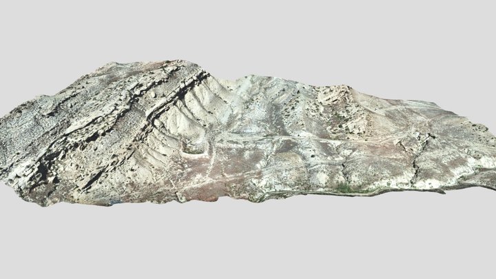 Elk Basin Strat 3D Model