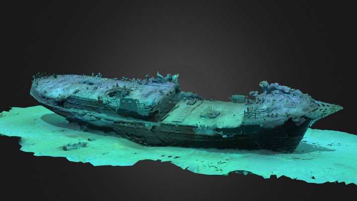 Rainbow Warrior Shipwreck 3D Model