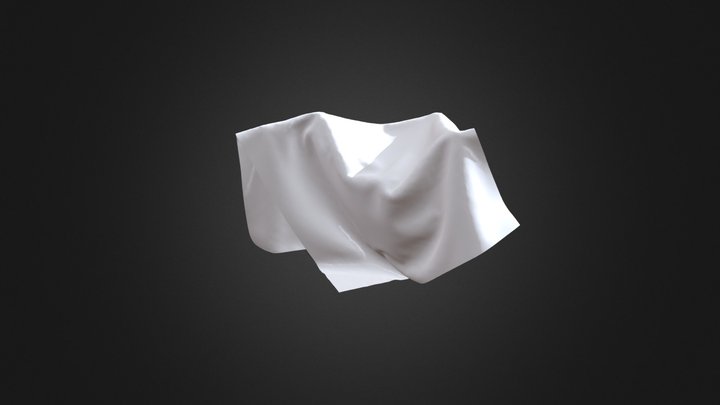 Cloth 3D Model
