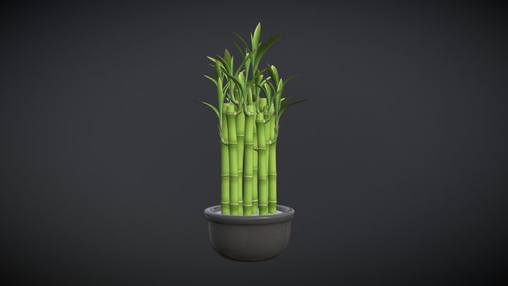 Bamboo Pot Plant 3D Model