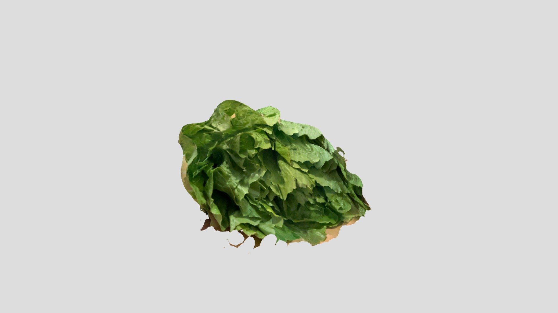 210916_kochsalat