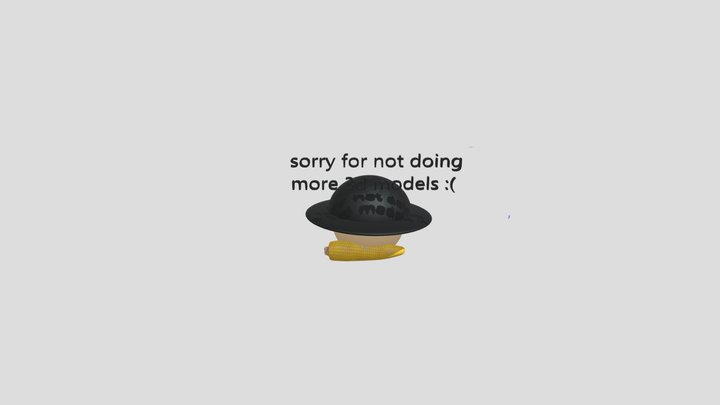 Sorry! 3D Model