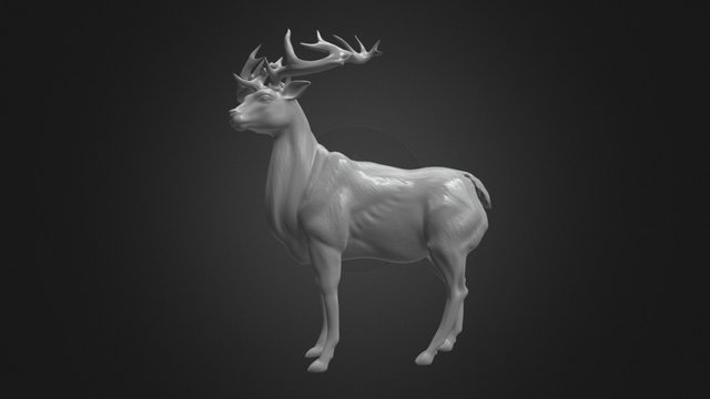 White Buck 3D Model