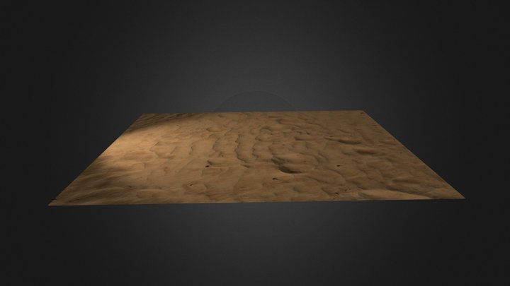 Sand Test 3D Model