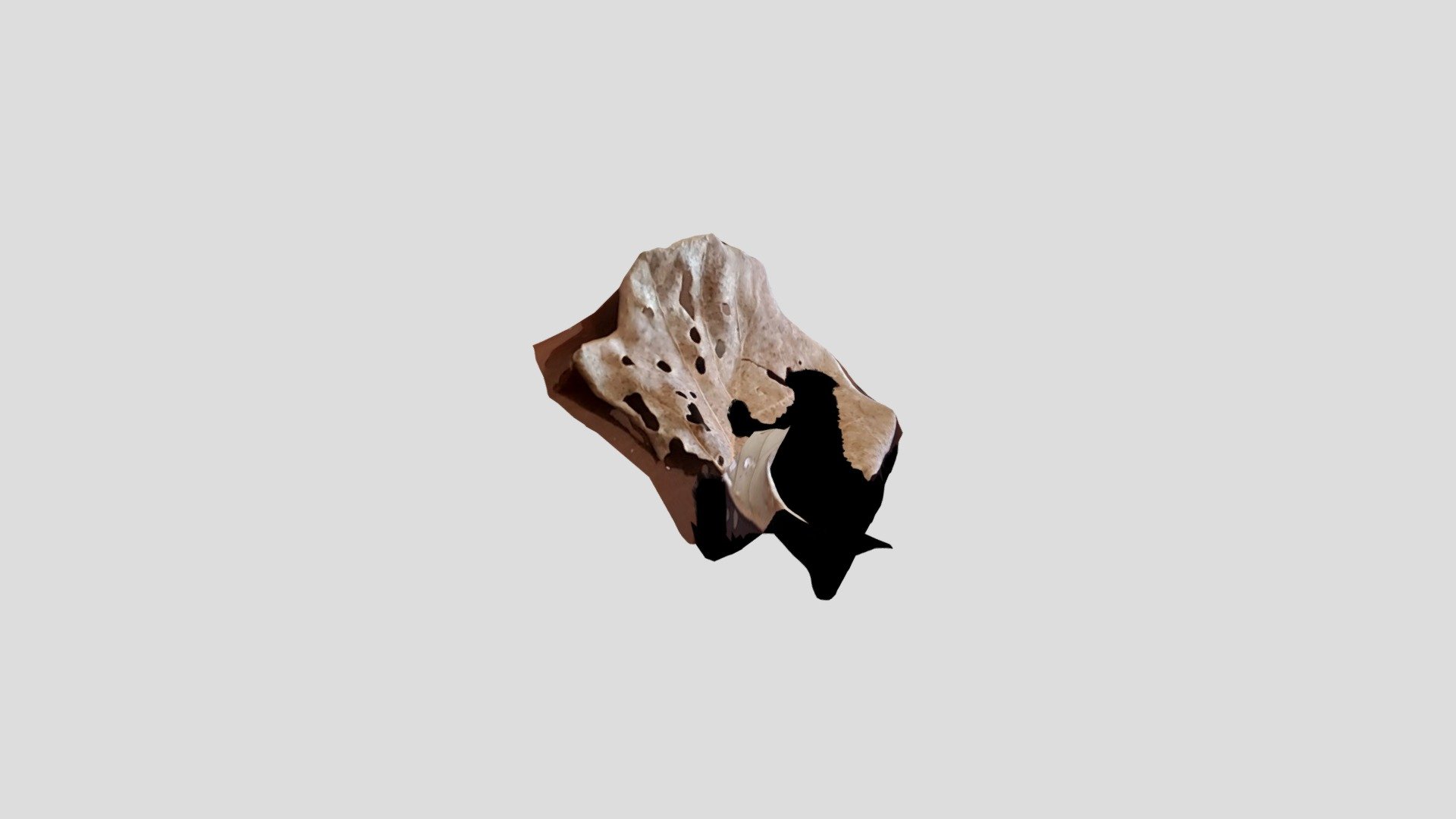 brown leaf