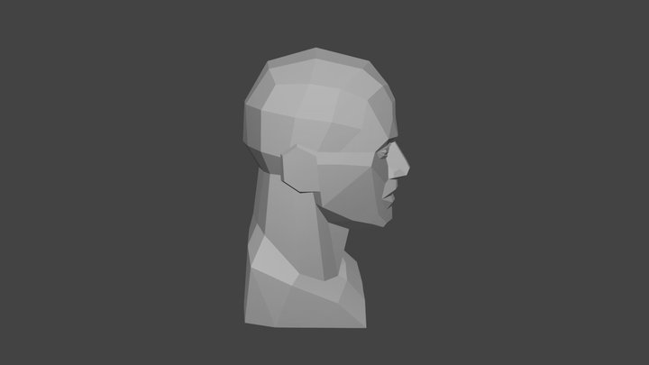 Loomis Head - Planes & essential form 3D Model