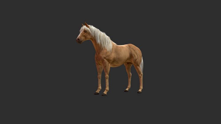 Horse 3D Model