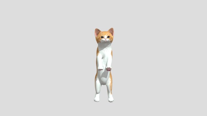cat 3D Model