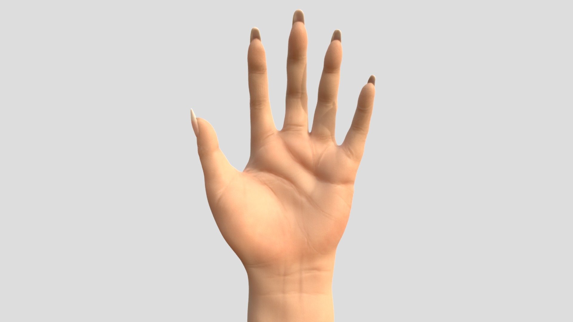 Hand Sculpt, University assignment