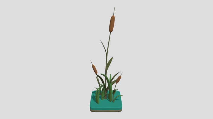 Cat Tails 3D Model