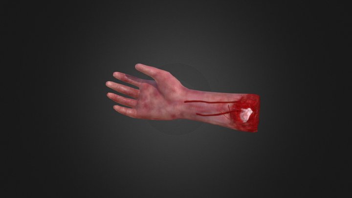 Severed Hands Low Poly 3D Model