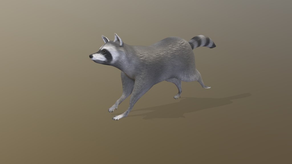 Running Raccoon Animation