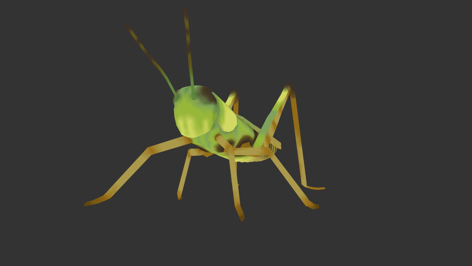 Grasshopper