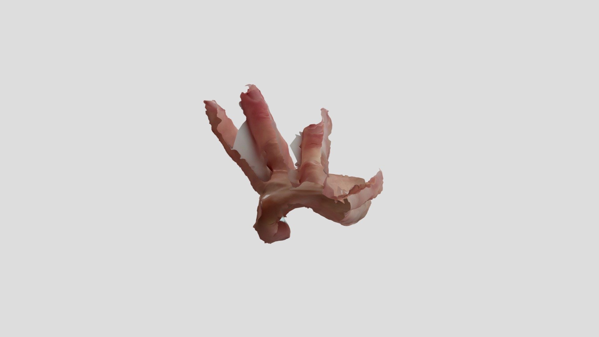 hand 2 — Sketchfab embed 3D viewer