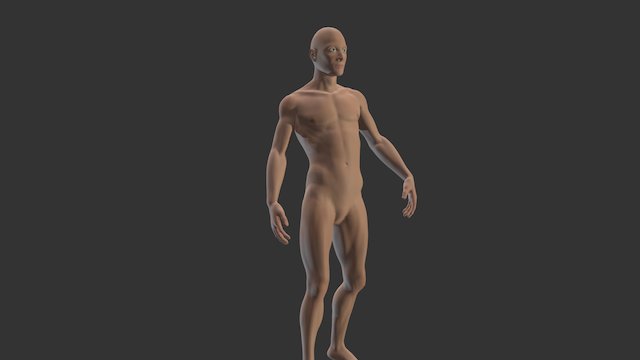 Human Male Posed 3D Model
