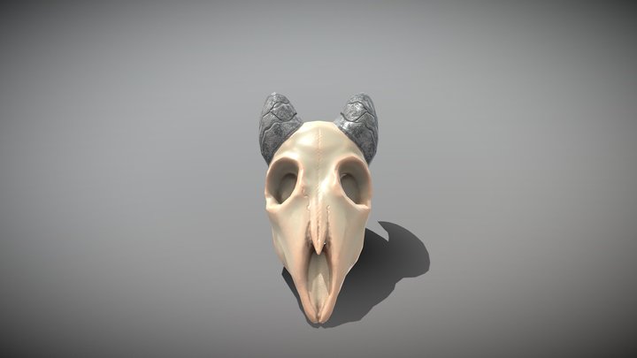 Crâne bovin 3D Model