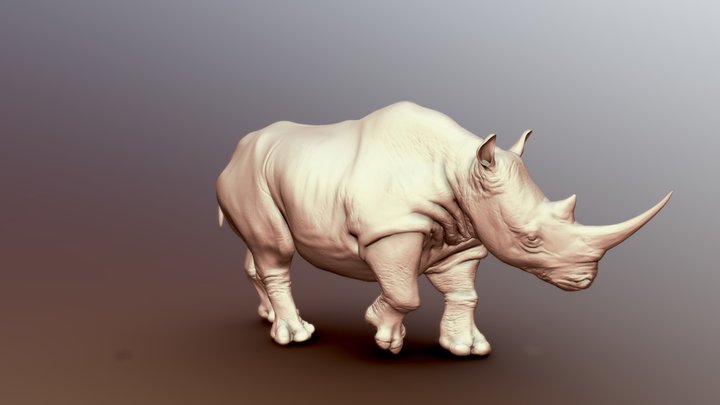WhiteRhino-HIgh Poly 3D Model