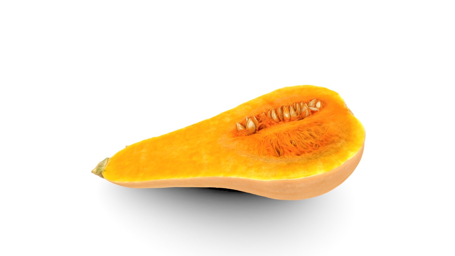 Butternut Squash half 2 バターナッツ