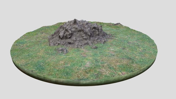 Molehill 3D Model