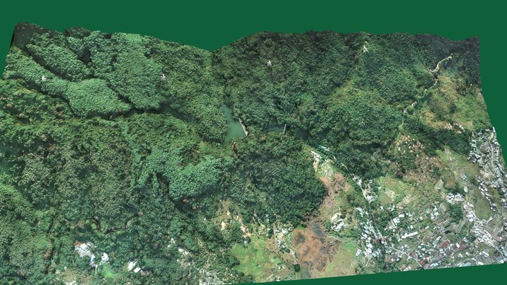 Tsing Tam Reservoirs 3D Model