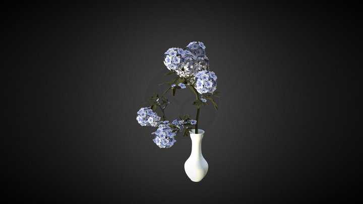3D Flower and vase
