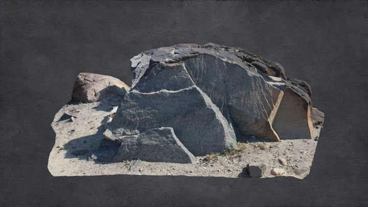 Rock Carving at Chilas-X (Rock 59) 3D Model