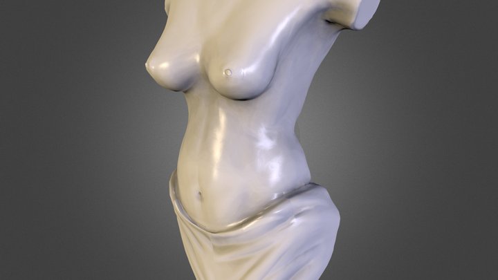 Femalebody Study 3D Model