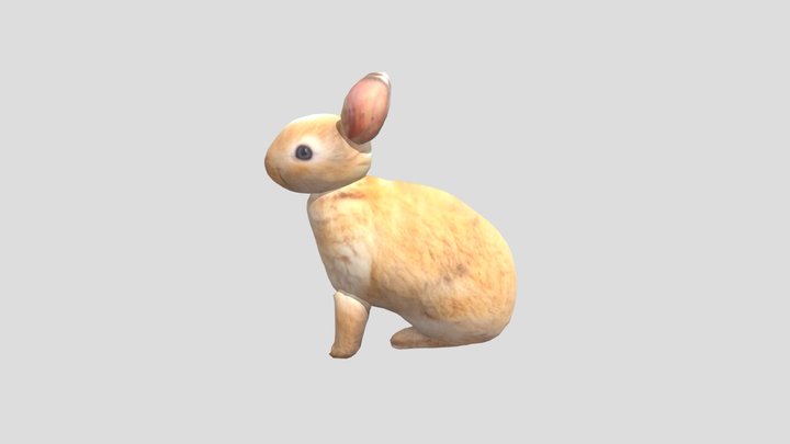 兔子－410993038 視設二 劉能禕 3D Model