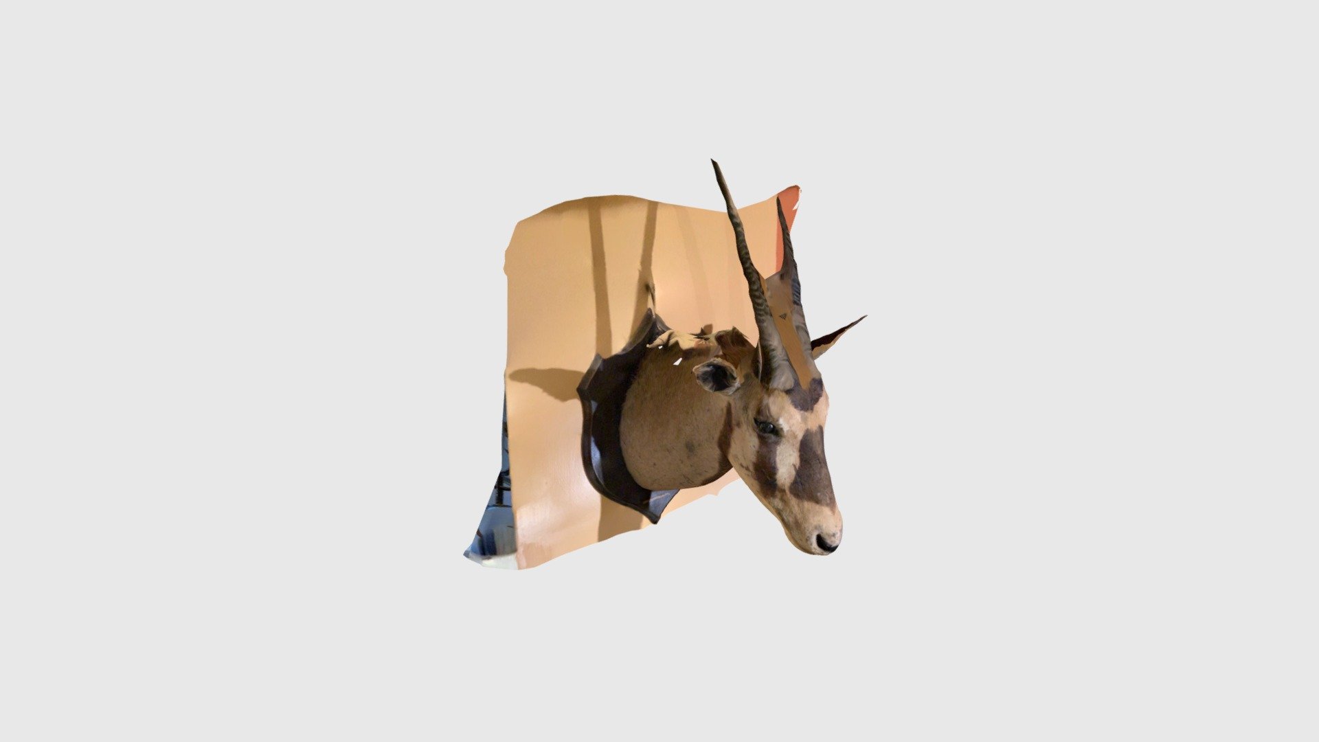 Beisa Oryx (East African Oryx) - Download Free 3D model by Jiwe Studio ...