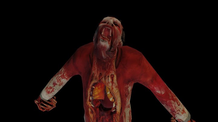 Half- Life 2 - Zombie