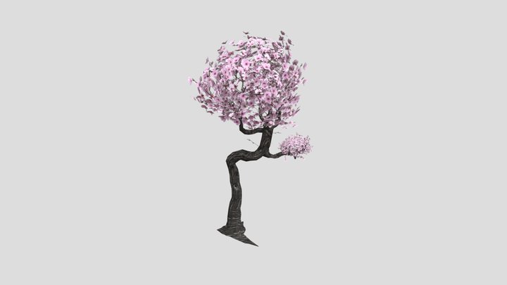 Cherry blossom tree 3D Model