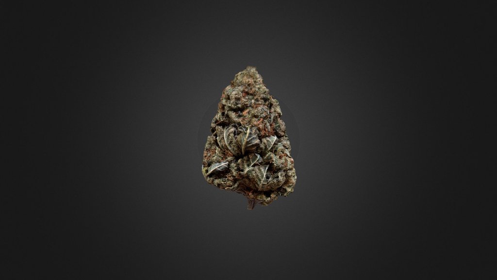 Weed Bud