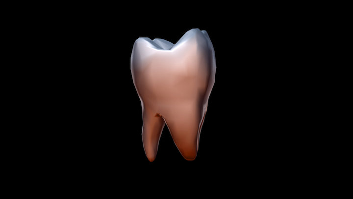 diente 3D Model