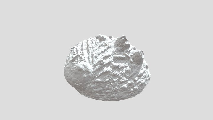 Abalone Shell_contaminated 3D Model