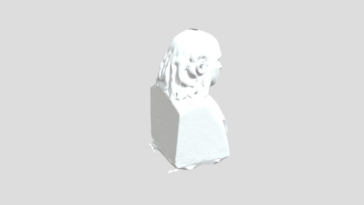 Karl Friedrich Schimper Bust 3D Model